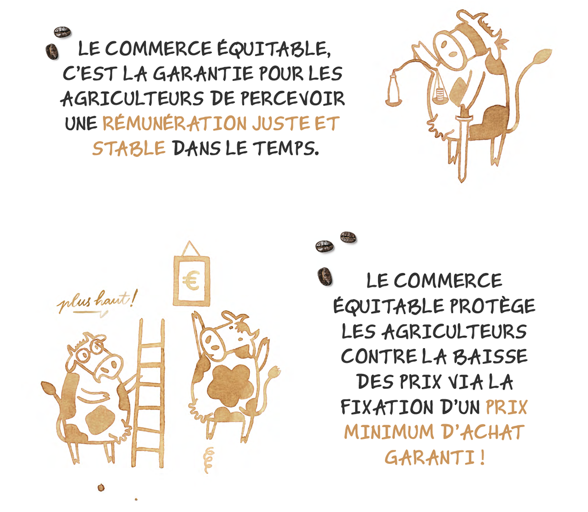 histoire_de_la_creme_dessert_au_cafe_bio_et_equitable_2.png